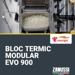 Zanussi Professional - EVO900